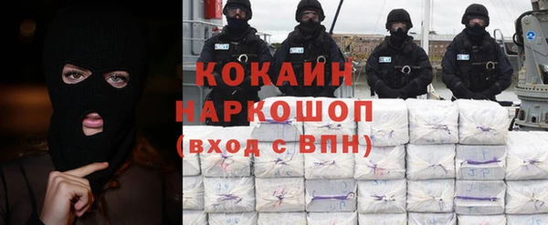 шишки Алзамай