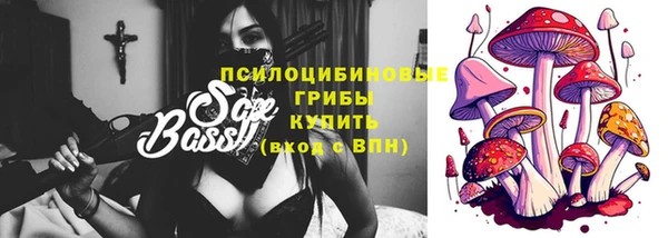 индика Алексеевка
