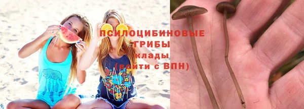 индика Алексеевка