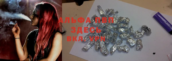 индика Алексеевка