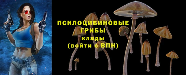 шишки Алзамай