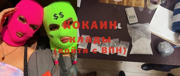 шишки Алзамай