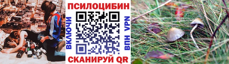 Галлюциногенные грибы Magic Shrooms  ОМГ ОМГ   Бабушкин 